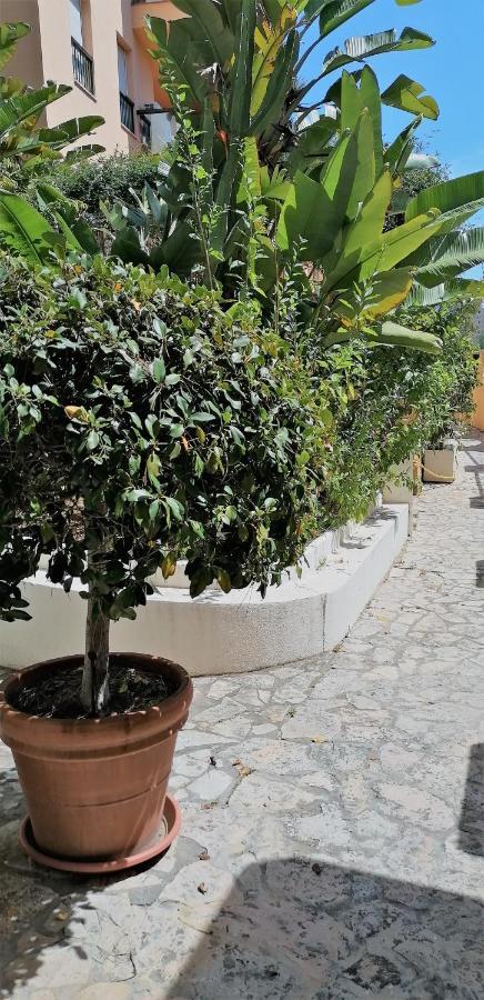 Beach & Golf Design Apartment Marbella Esterno foto
